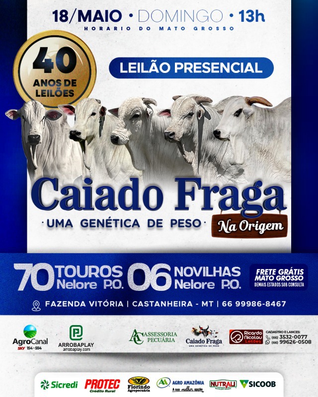 Leilão Presencial Caiado Fraga na Origem hoje no Agro Canal