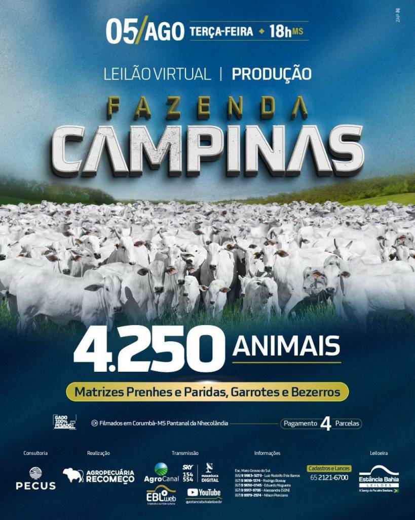 Leilão Virtual Fazenda Campinas hoje às 19h no Agro Canal