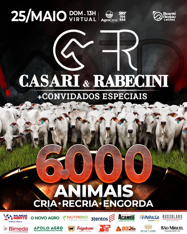 Leilão Virtual Casari e Rabecini hoje no Agro Canal