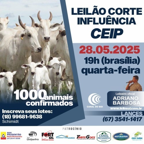 Leilão Corte Influência CEIP hoje às 19h no Canal do Boi 