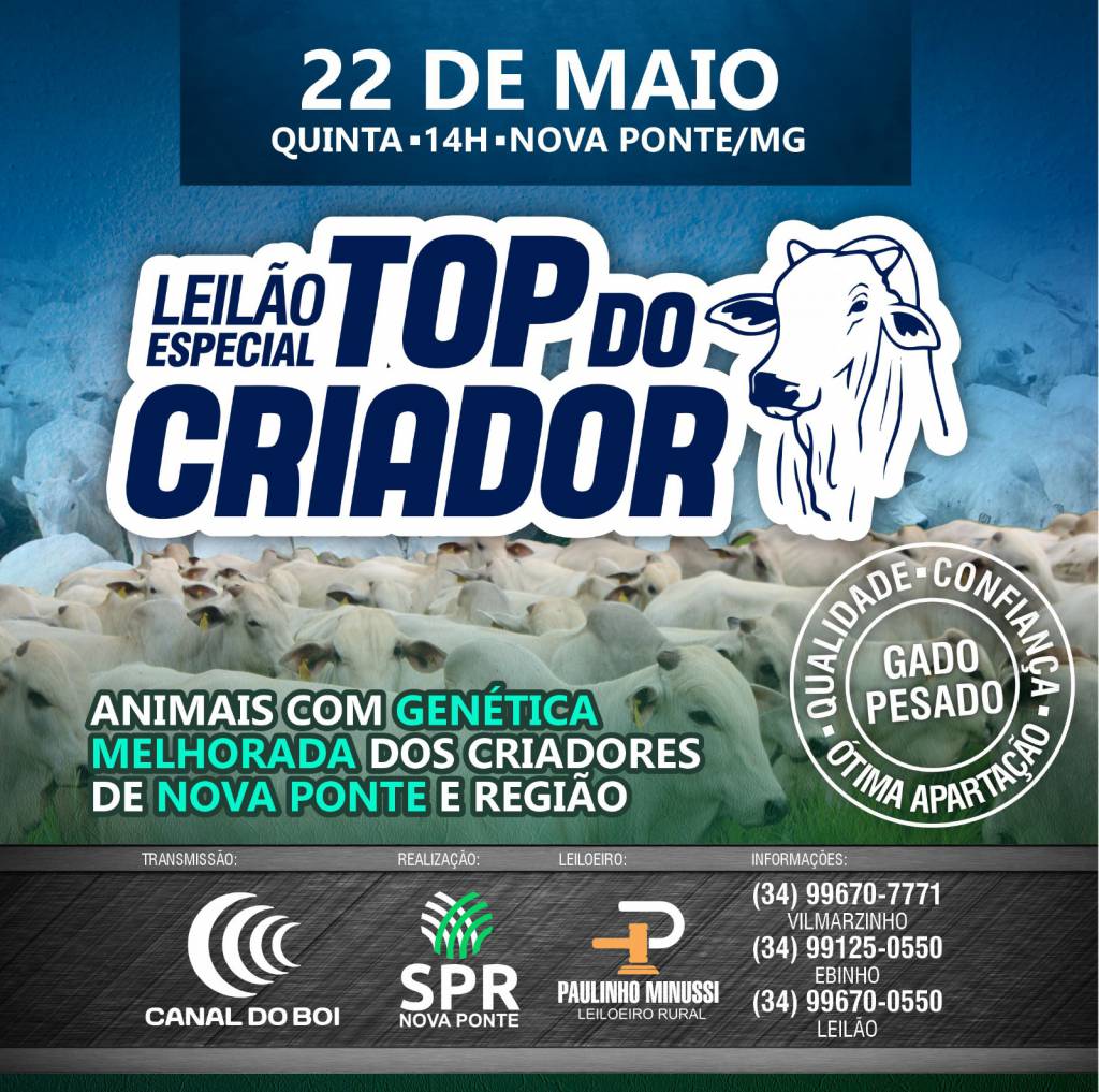 Leilão Especial Top do Criador hoje no Canal do Boi