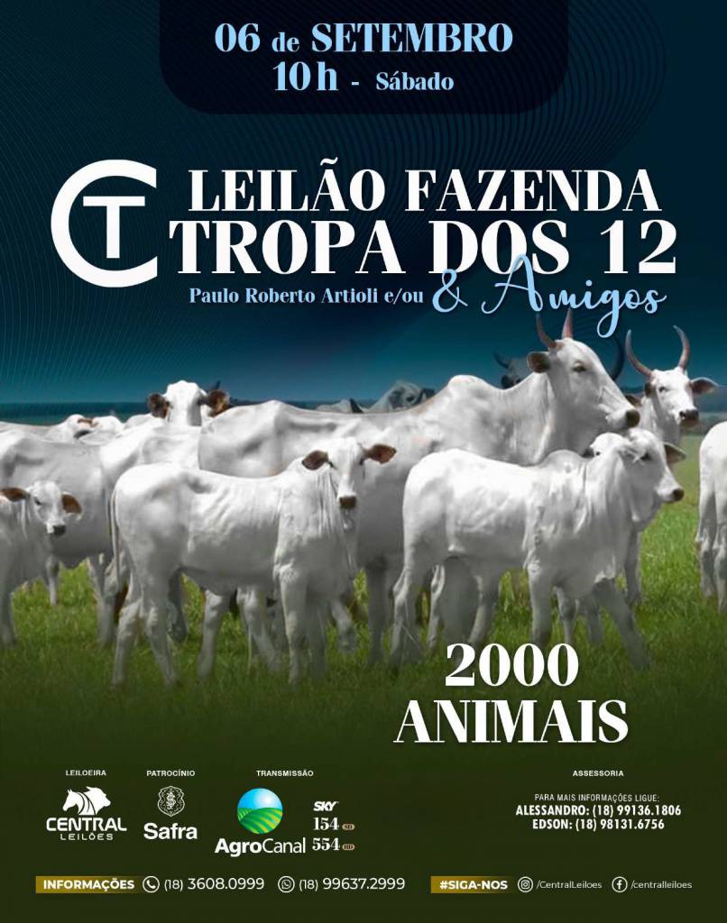 Leilão Fazenda Tropa dos 12 e Amigos hoje às 10h no Agro Canal