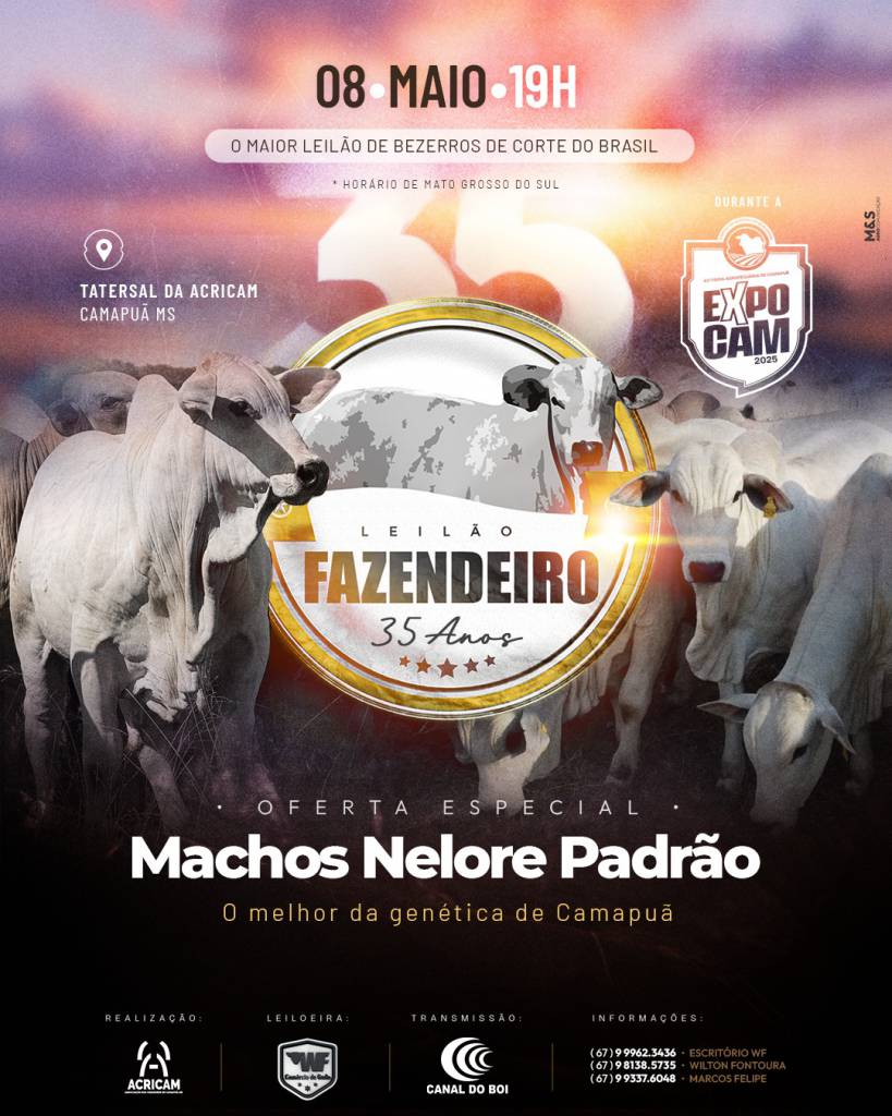 Leilão Fazendeiro 35 anos hoje no Canal do Boi