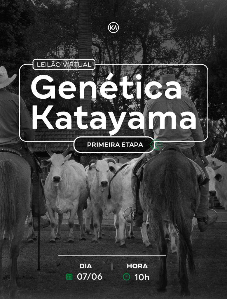 Leilão Virtual Genética Katayama hoje às 10h no Canal do Boi 