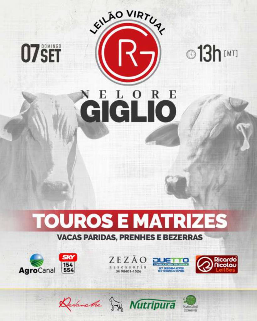 Leilão Virtual Nelore Giglio hoje às 14h no Agro Canal
