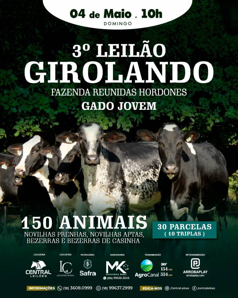3º Leilão Girolando Fazenda Reunidas Hordones hoje às 10h no Agro Canal