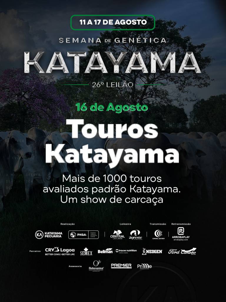 Katayama oferta mais de 1.000 touros selecionados hoje às 10h no Canal do Boi 