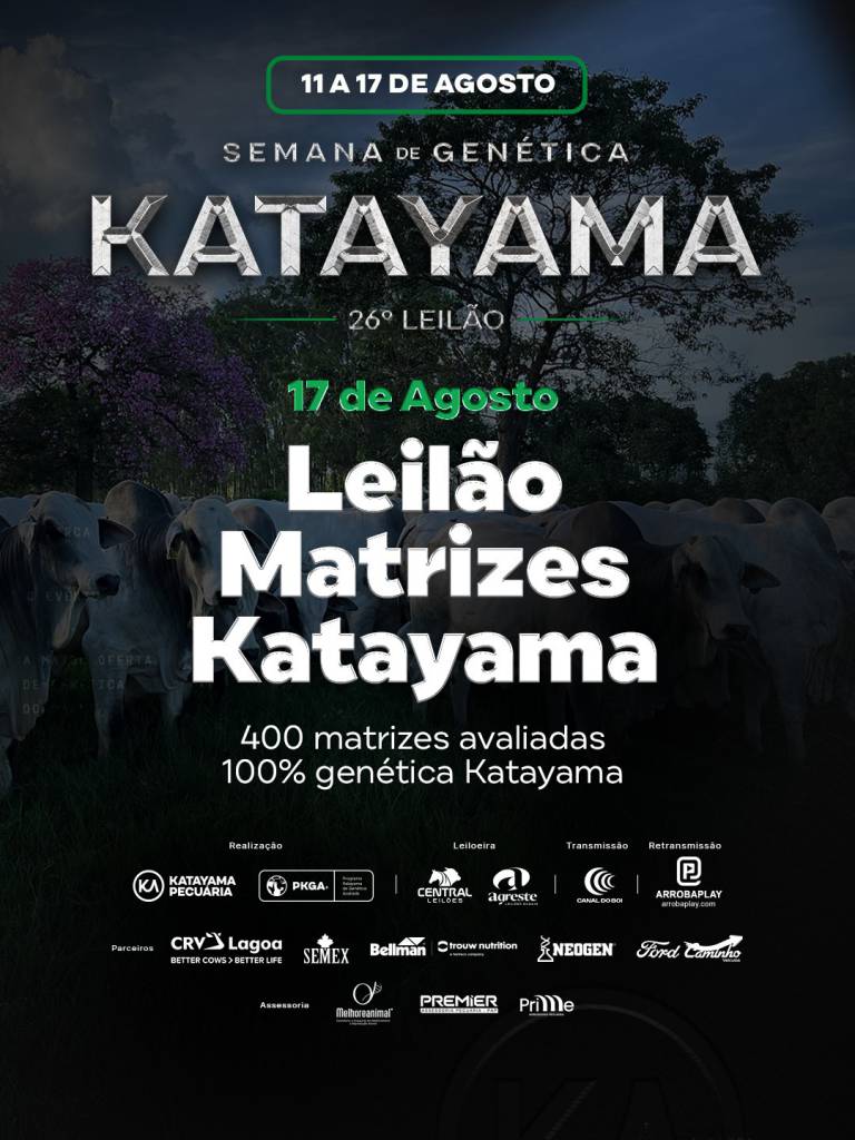 Katayama oferta 400 matrizes avaliadas hoje às 14h no Canal do Boi 