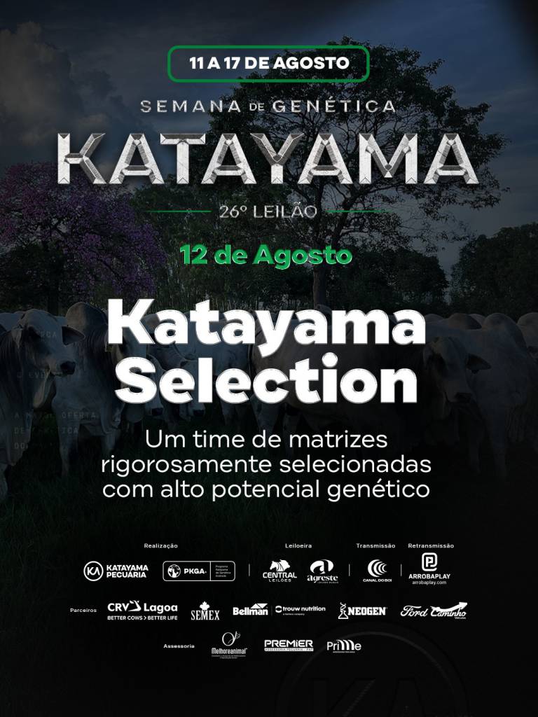 Katayama oferta matrizes de alto potencial genético hoje às 19h no Canal do Boi