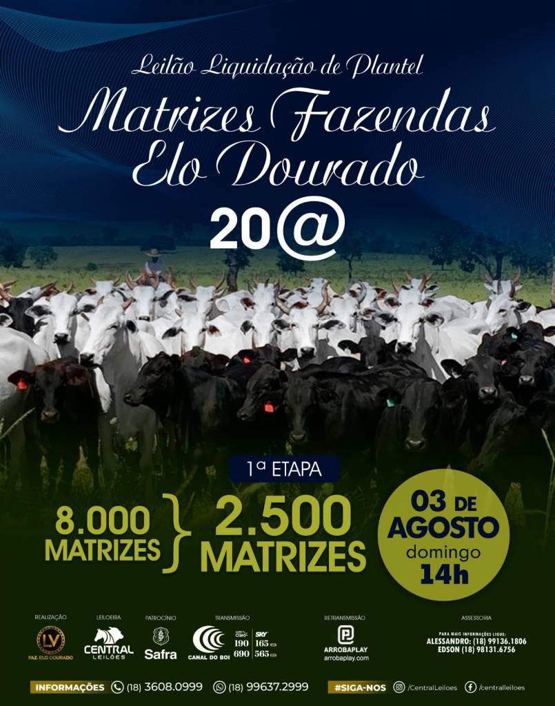 Leilão Liquidação de Plantel Matrizes Fazendas Elo Dourado 20 Arrobas - 1ª Etapa hoje no  Canal do Boi 