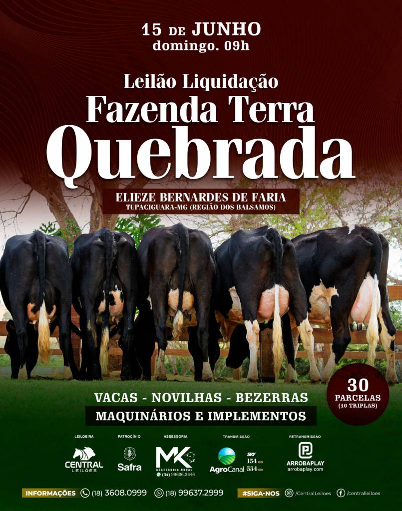 Leilão Liquidação De Plantel Fazenda Terra Quebrada hoje às 9h no Agro Canal