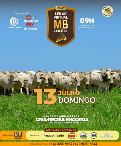 504° Leilão Virtual MB Leilões
