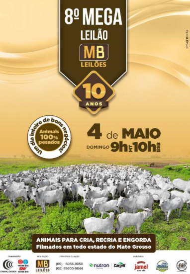 8º Mega Leilão MB Leilões neste domingo no Canal do Boi