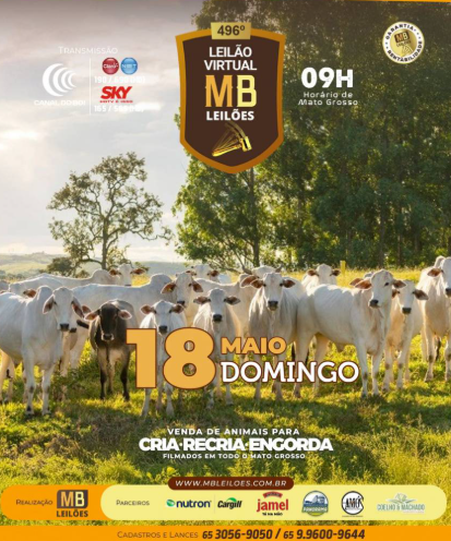 496° Leilão Virtual MB Leilões neste domingo no Canal do Boi