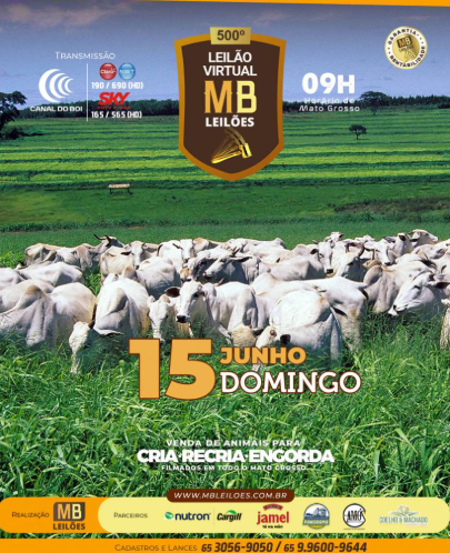 500° Leilão Virtual MB Leilões neste domingo no Canal do Boi