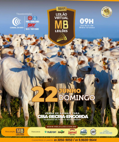 501º Leilão Virtual MB Leilões neste domingo no Canal do Boi