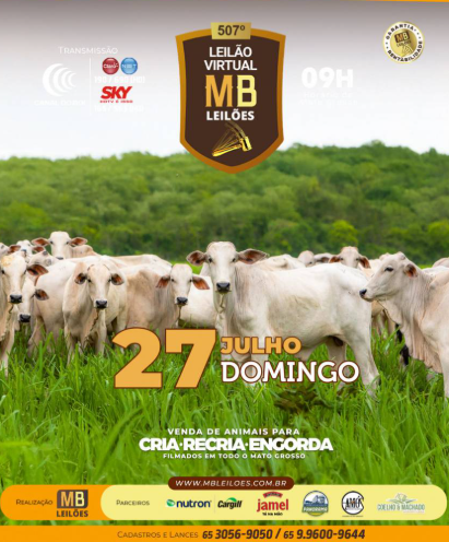 507º Leilão Virtual MB Leilões neste domingo no Canal do Boi