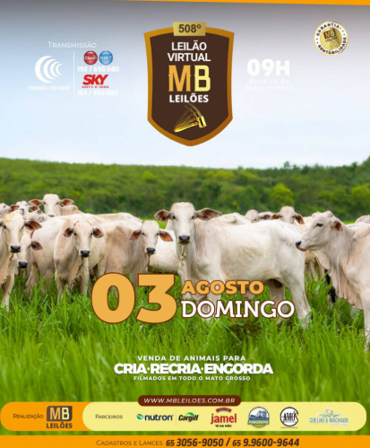 508° Leilão Virtual MB Leilões neste domingo no Canal do Boi