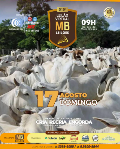 510º Leilão Virtual MB Leilões neste domingo no Canal do Boi