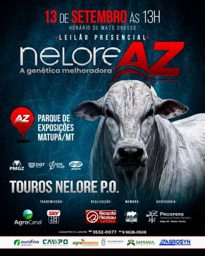 Leilão Presencial Nelore AZ hoje no Agro Canal