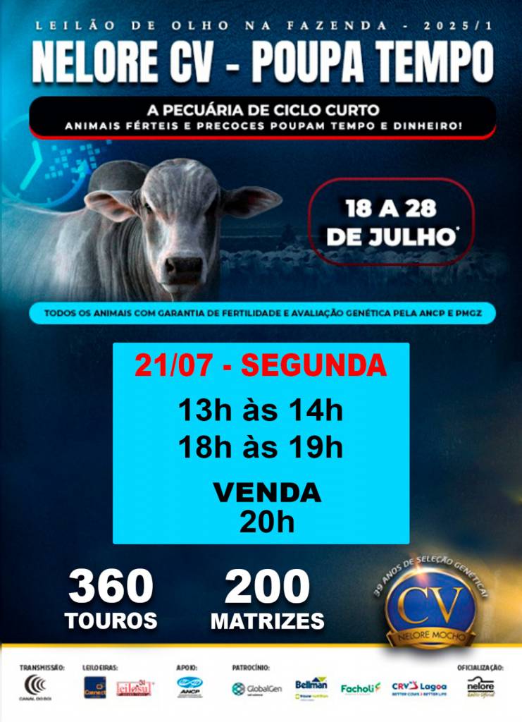 De Olho Na Fazenda Nelore CV hoje às 20h no Canal do Boi