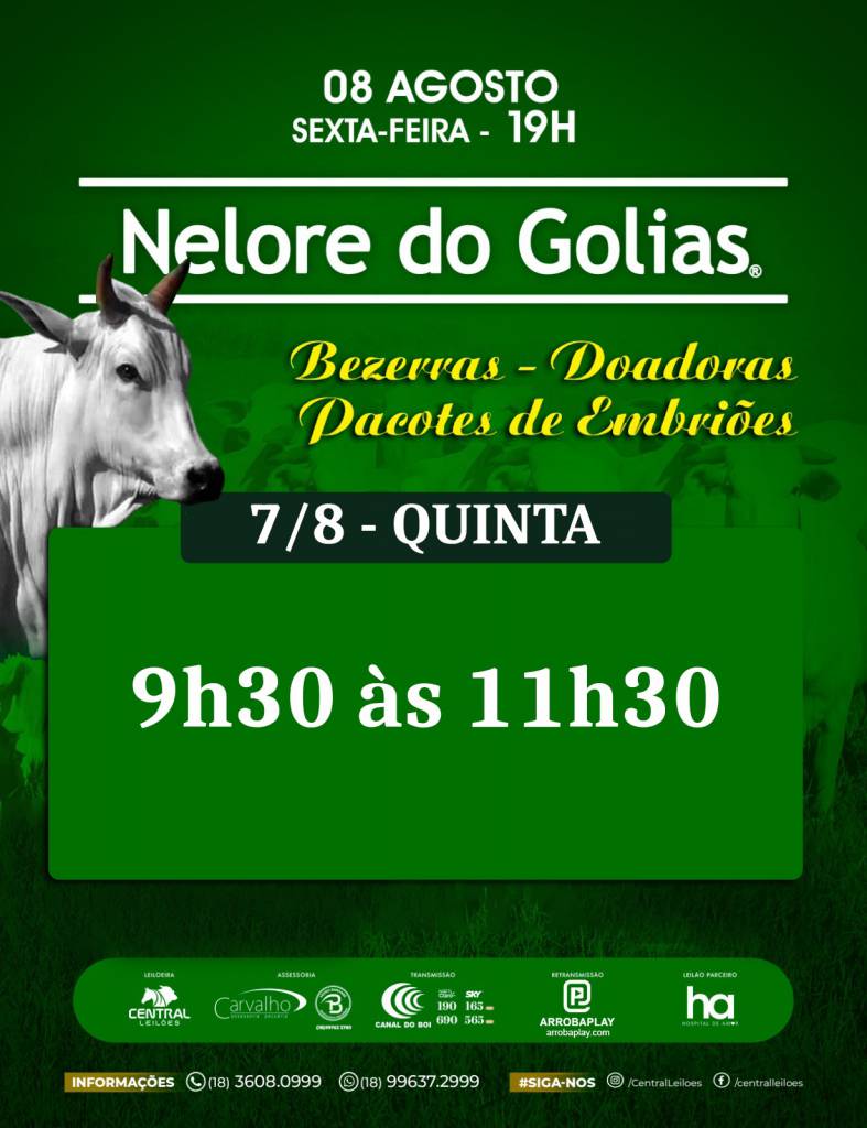 Leilão Nelore do Golias hoje às 9h30 no Canal do Boi 