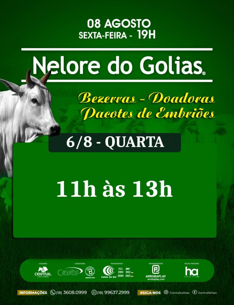 Nelore do Golias inicia hoje às 11h apresentação dos lotes no Canal do Boi 
