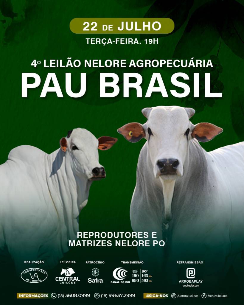 4º Leilão Nelore Agropecuária Pau Brasil hoje às 19h no Canal do Boi 