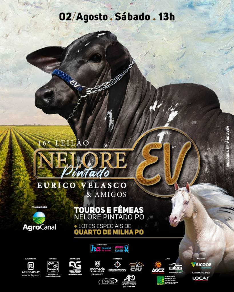 16º Leilão Nelore Pintado EV hoje no Agro Canal