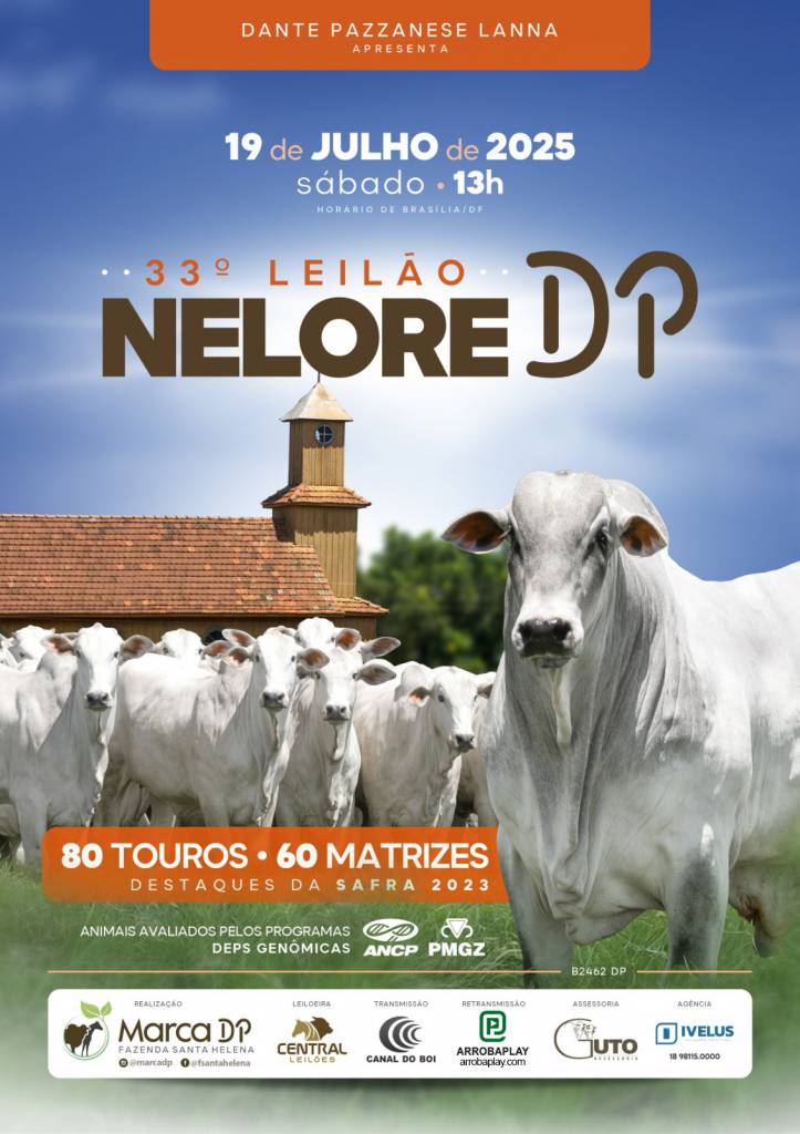 33º Leilão Nelore DP hoje às 13h no Canal do Boi 
