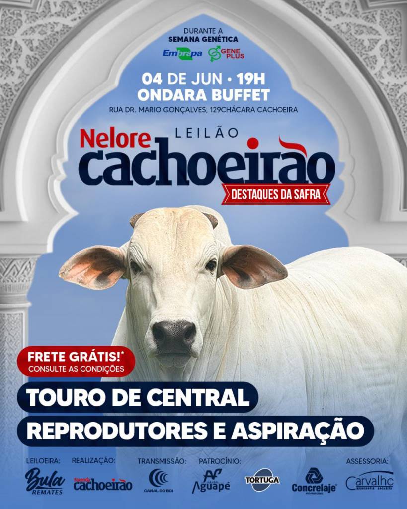 Leilão Nelore Cachoeirão hoje às 20h no Canal do Boi 
