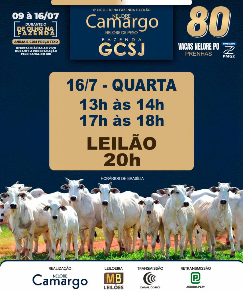 6º De Olho Na Fazenda e Leilão Nelore Camargo hoje às 20h no Canal do Boi