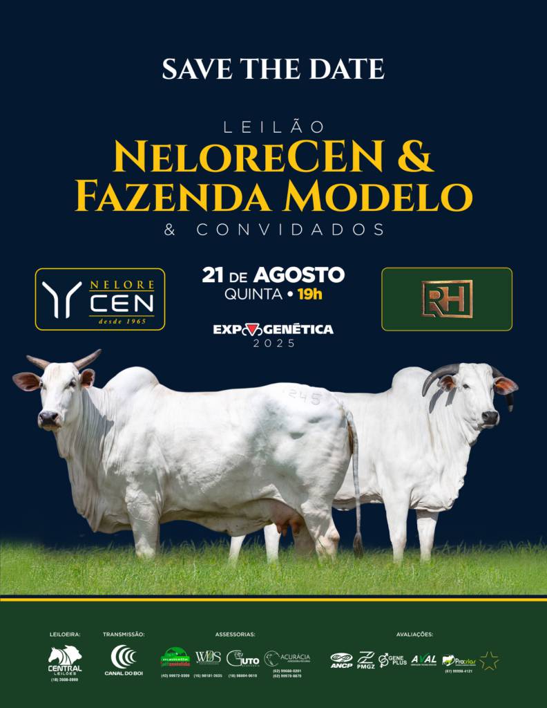 Leilão Nelore CEN & Fazenda Modelo & Convidado hoje às 19h no Canal do Boi 