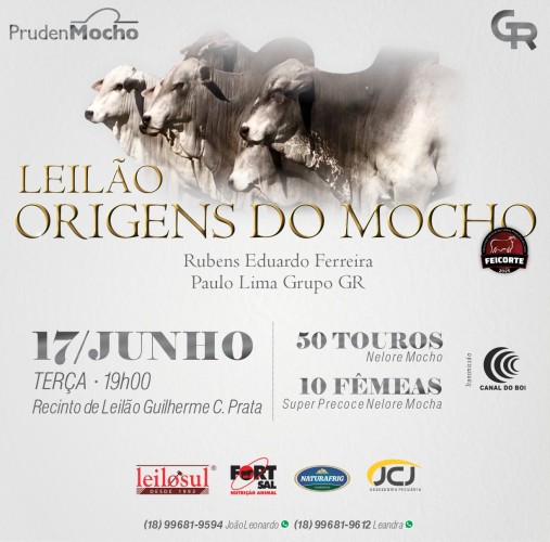 Leilão Origens do Mocho hoje às 19h no Canal do Boi