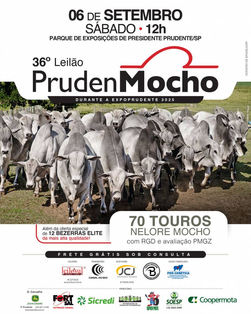 36º Leilão PrudenMocho hoje às 12h no Canal do Boi