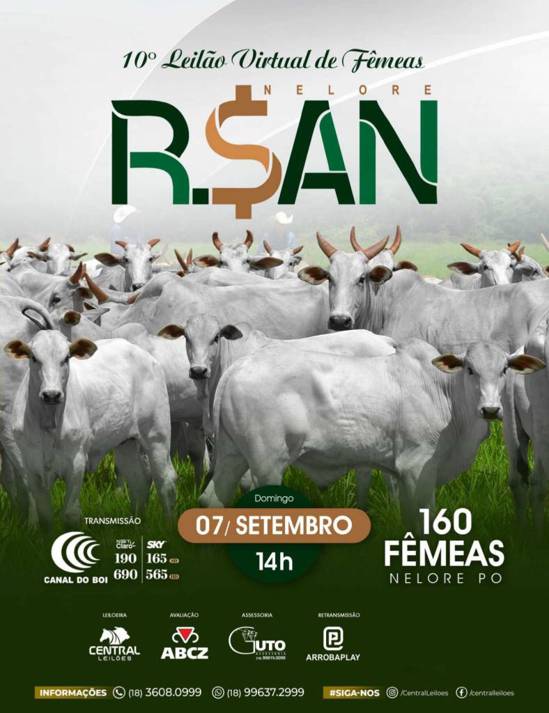 10º Leilão Virtual de Fêmeas Nelore RSAN hoje às 14h no Canal do Boi 
