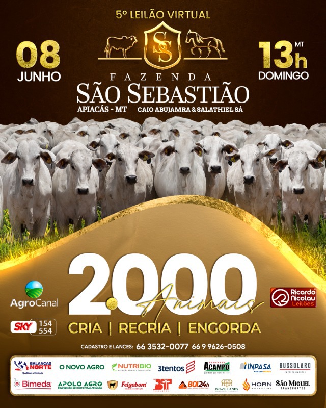 Leilão Virtual Fazenda São Sebastião hoje no Agro Canal