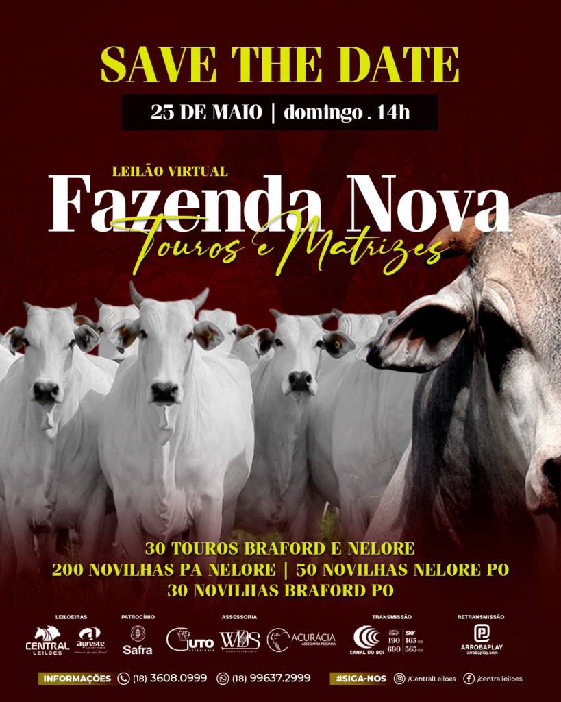 Leilão Virtual Fazenda Nova - Touros e Matrizes hoje às 14h no Canal do Boi 