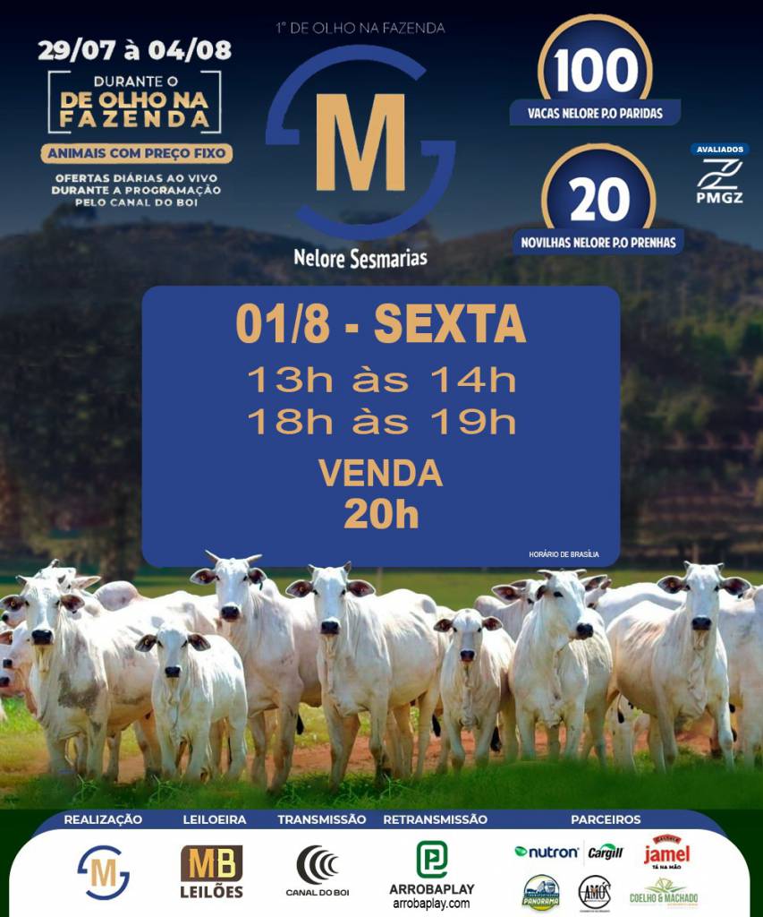 1º De Olho Na Fazenda Nelore Sesmarias hoje às 20h no Canal do Boi