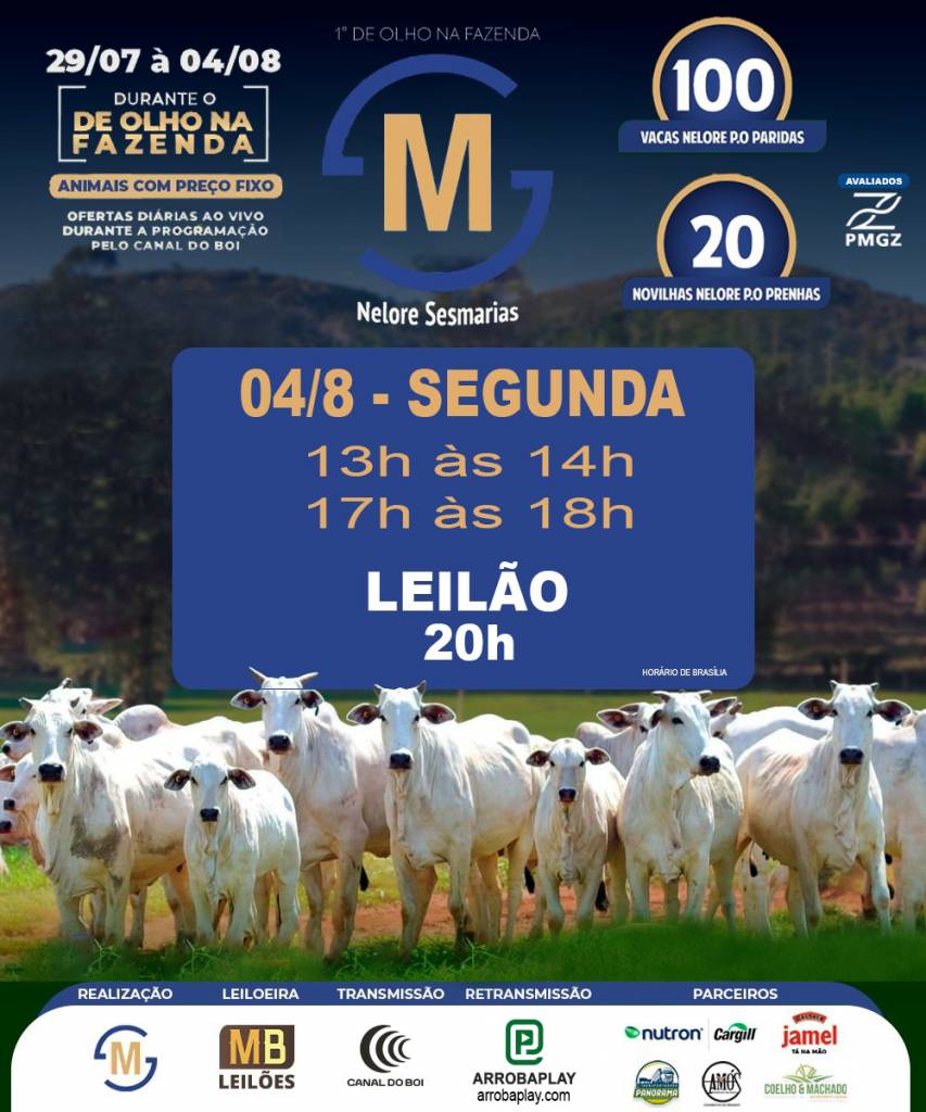 Leilão Nelore Sesmarias nesta segunda no Canal do Boi