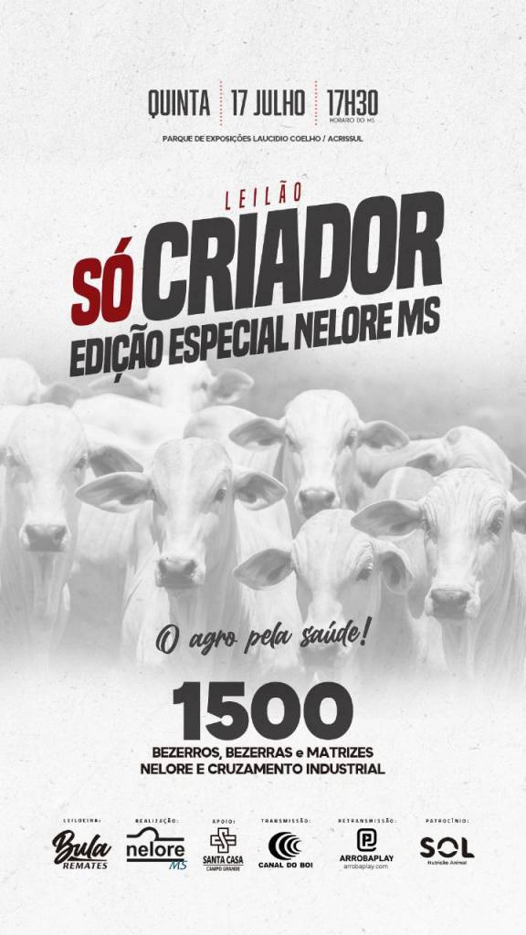 Leilão Só Criador Edição Especial Nelore MS hoje no Canal do Boi