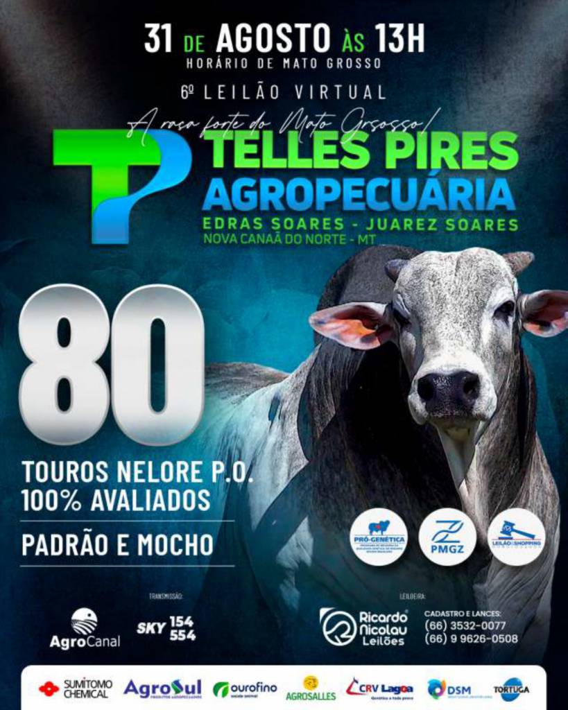 6º Leilão Virtual Telles Pires Agropecuária hoje às 14h no Agro Canal