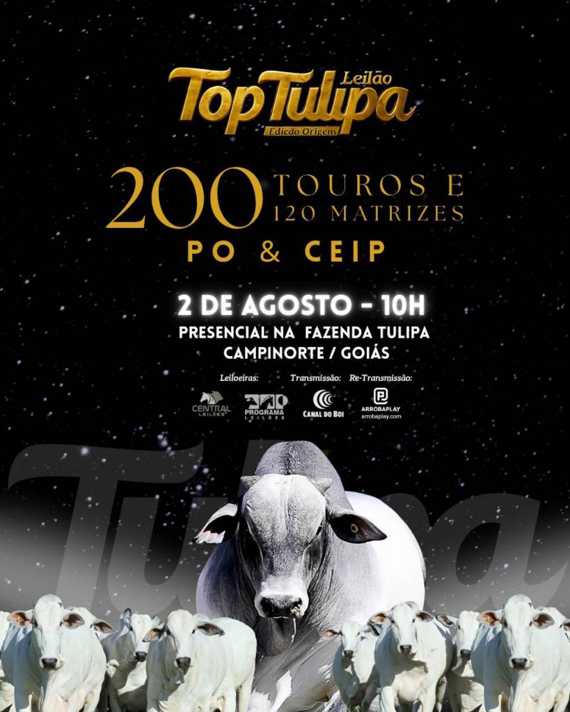 Leilão Top Tulipa - Edição Origens hoje às 10h no Canal do Boi 
