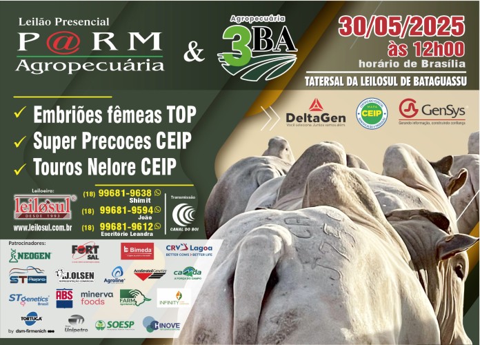 Leilão Touros CEIP PARM Agropecuária e 3 Barras hoje no Canal do Boi
