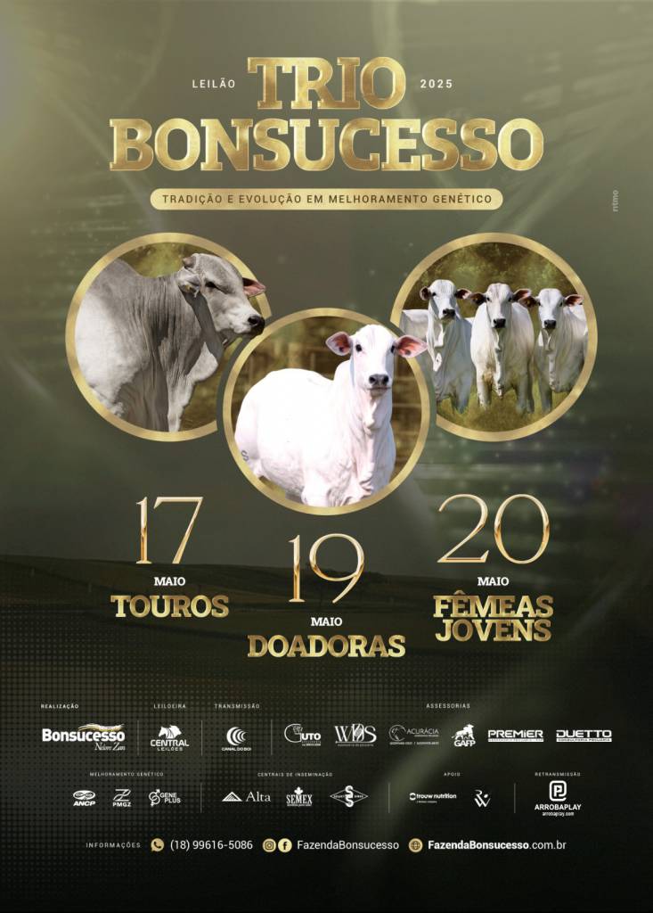 Leilão Trio Bonsucesso etapa de Touros hoje às 14h no Canal do Boi 