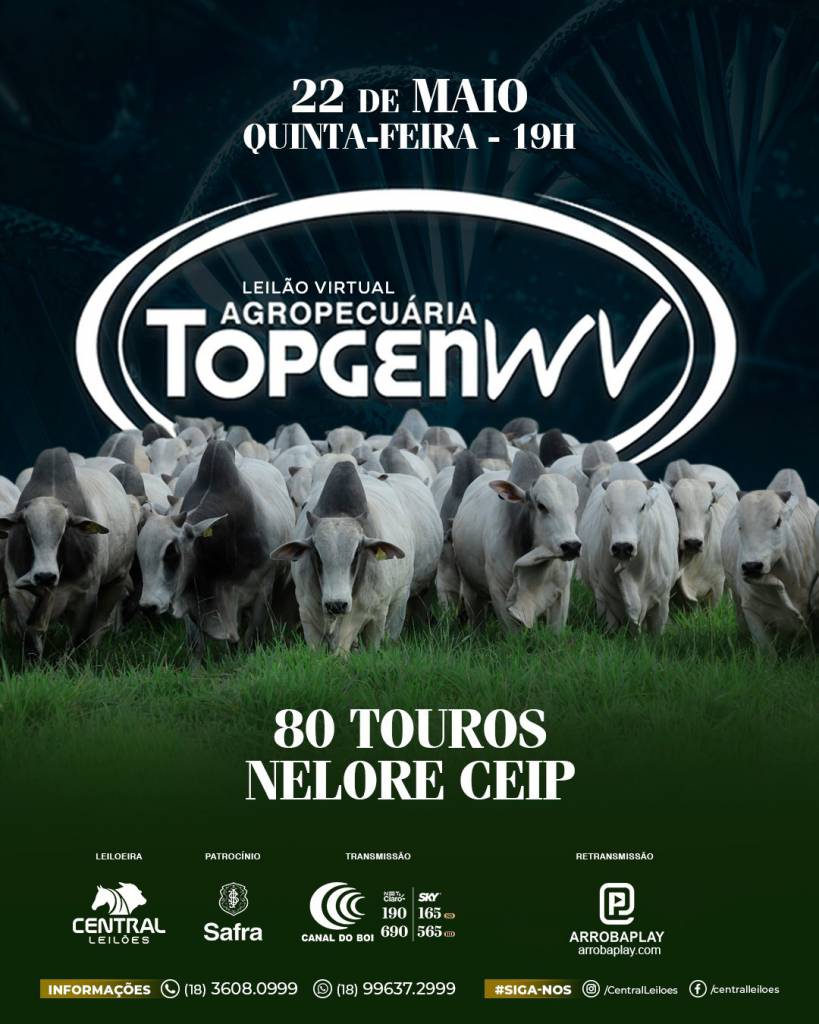 Leilão Virtual Agropecuária Topgen WV hoje às 19h no Canal do Boi 