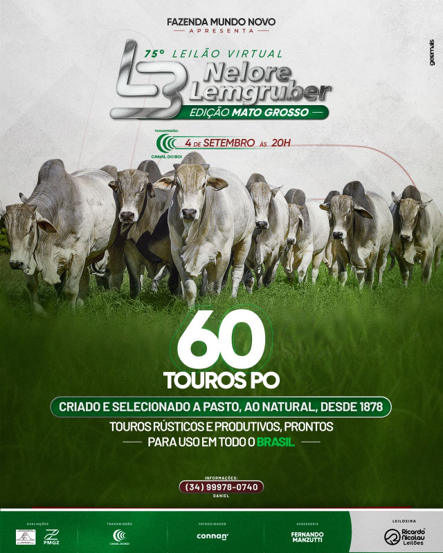 75º Leilão Virtual Nelore Lemgruber hoje às 20h no Canal do Boi