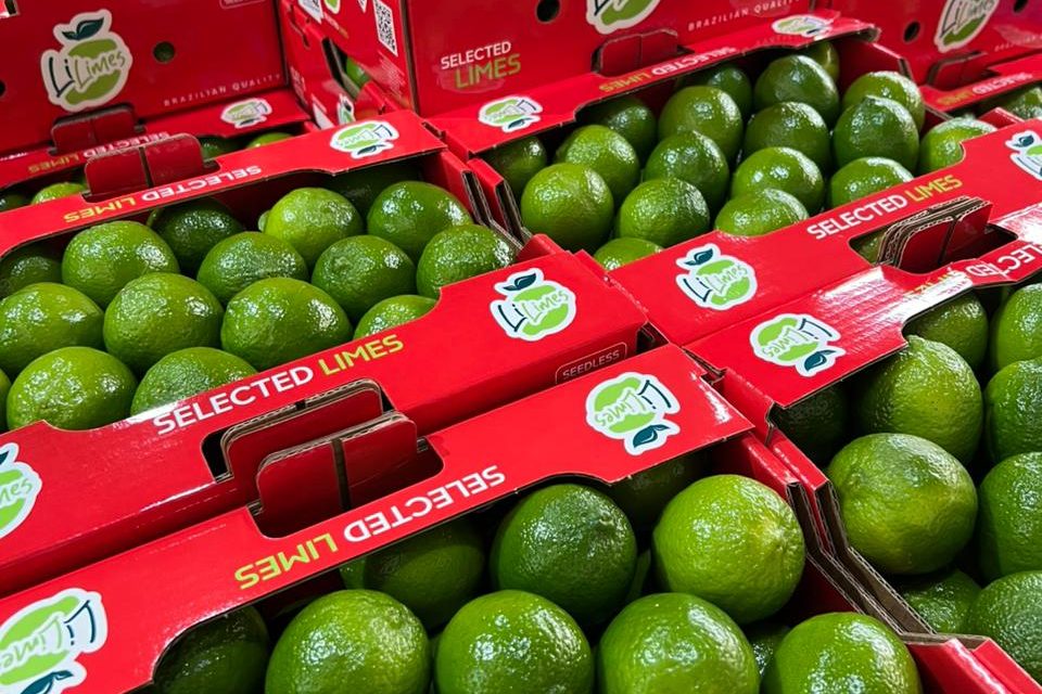 A Força do Limão Paulista: exportação da fruta cresce 21%