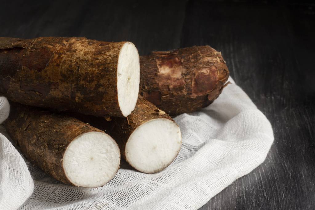 Oferta da mandioca avança lentamente nas regiões produtoras