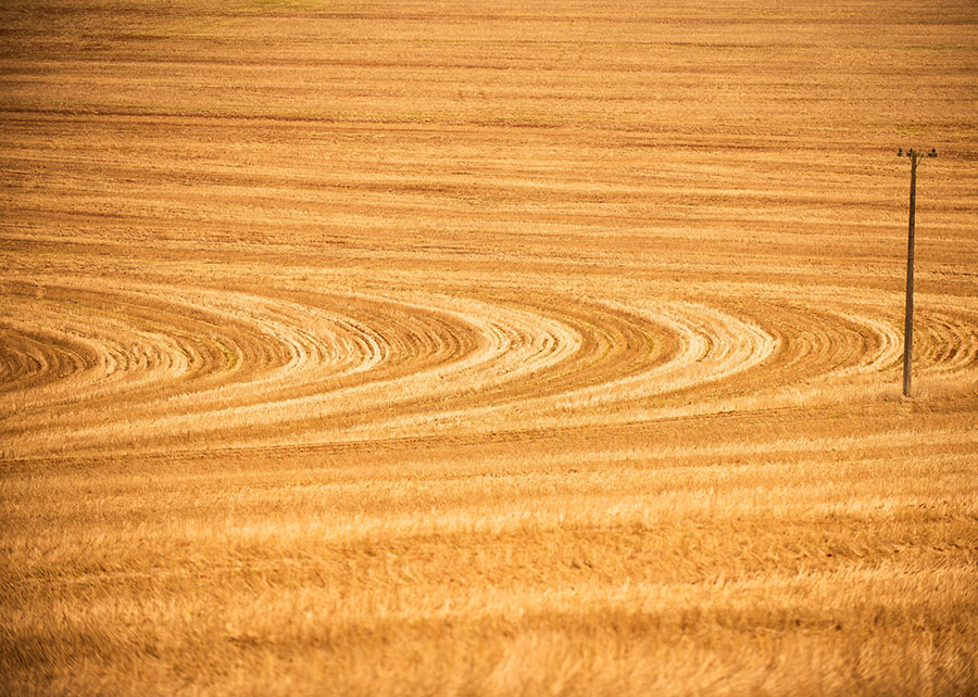 Manejo de solo passa a fazer parte do Zoneamento de Risco Climático da soja